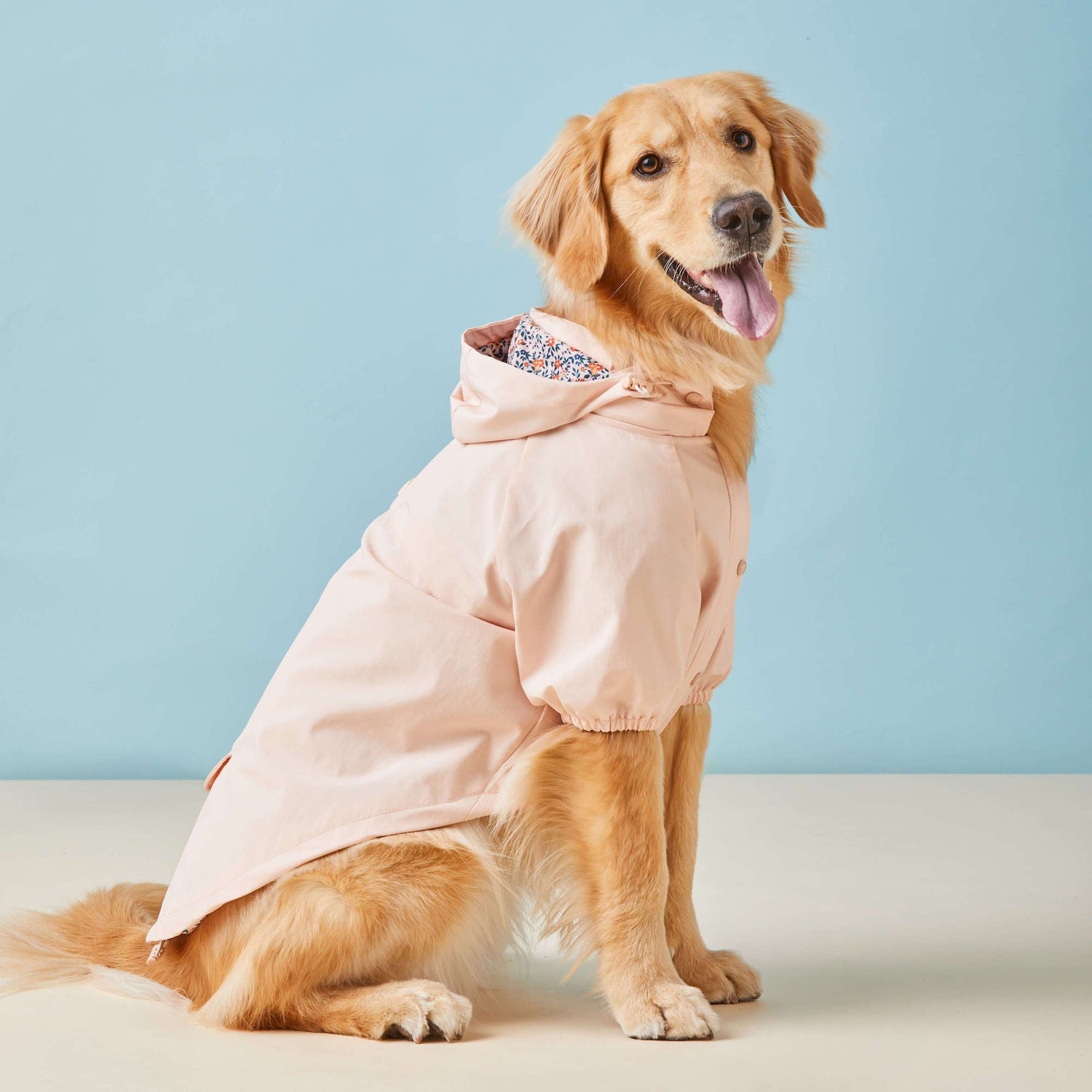 Dog Raincoats