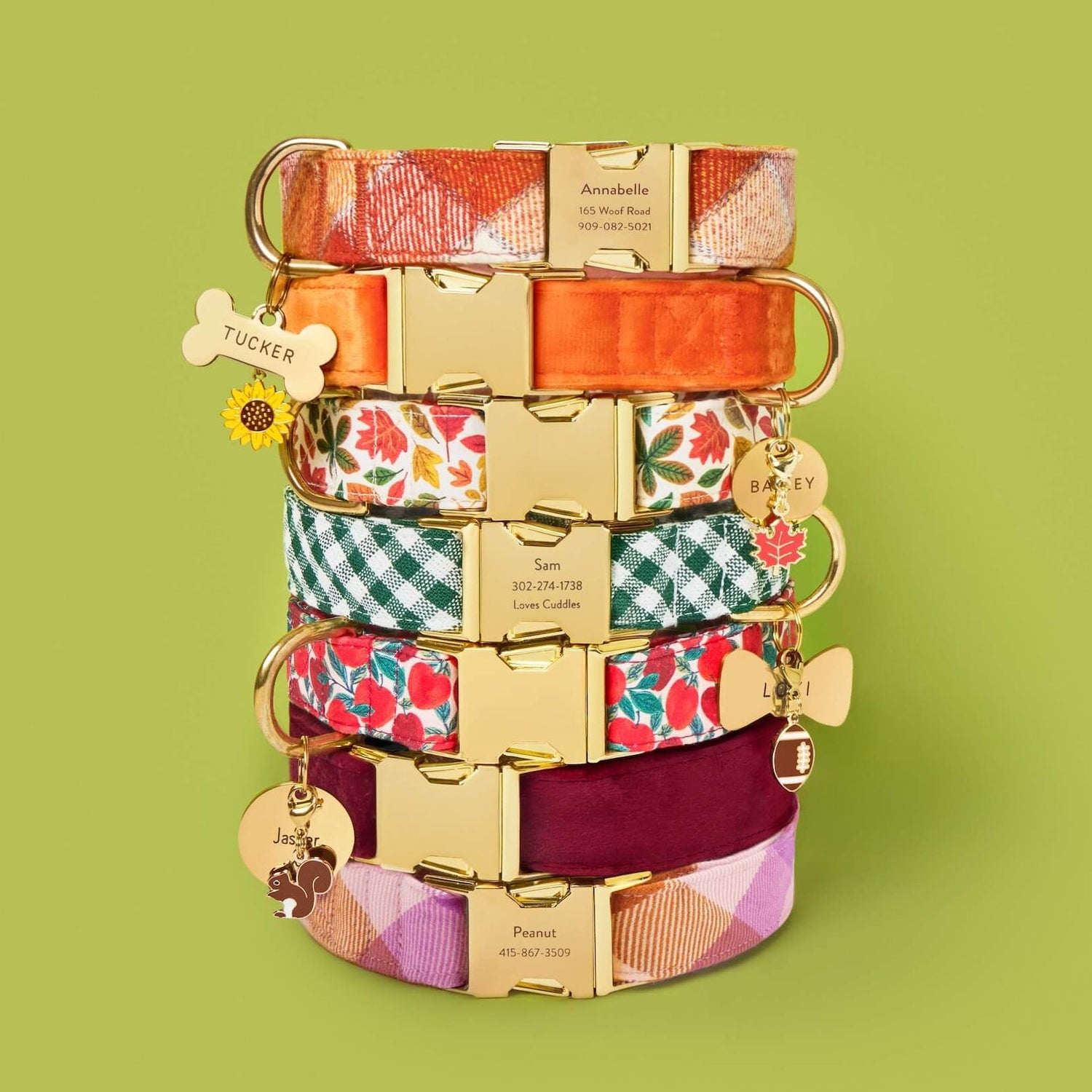 Pumpkin Spice Plaid Flannel, Pumpkin Velvet, Falling Leaves, Evergreen Gingham, Apple of My Eye, Burgundy Velvet, Bramble Flannel Dog Collar, Bone, Circle, Lady Bow Pet ID Tag, Football, Squirrel, Maple Leaf and Sunflower Collar Charm from The Foggy Dog