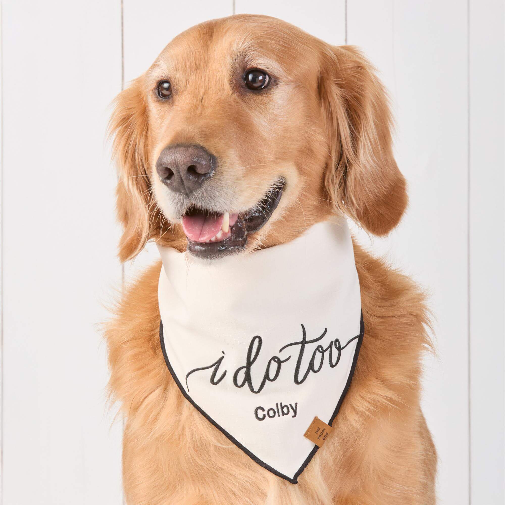 Wedding Collection  The Foggy Dog