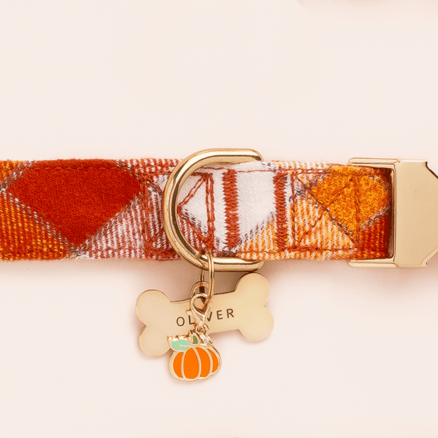 Pumpkin Collar Charm and Bone Pet ID Tag from The Foggy Dog