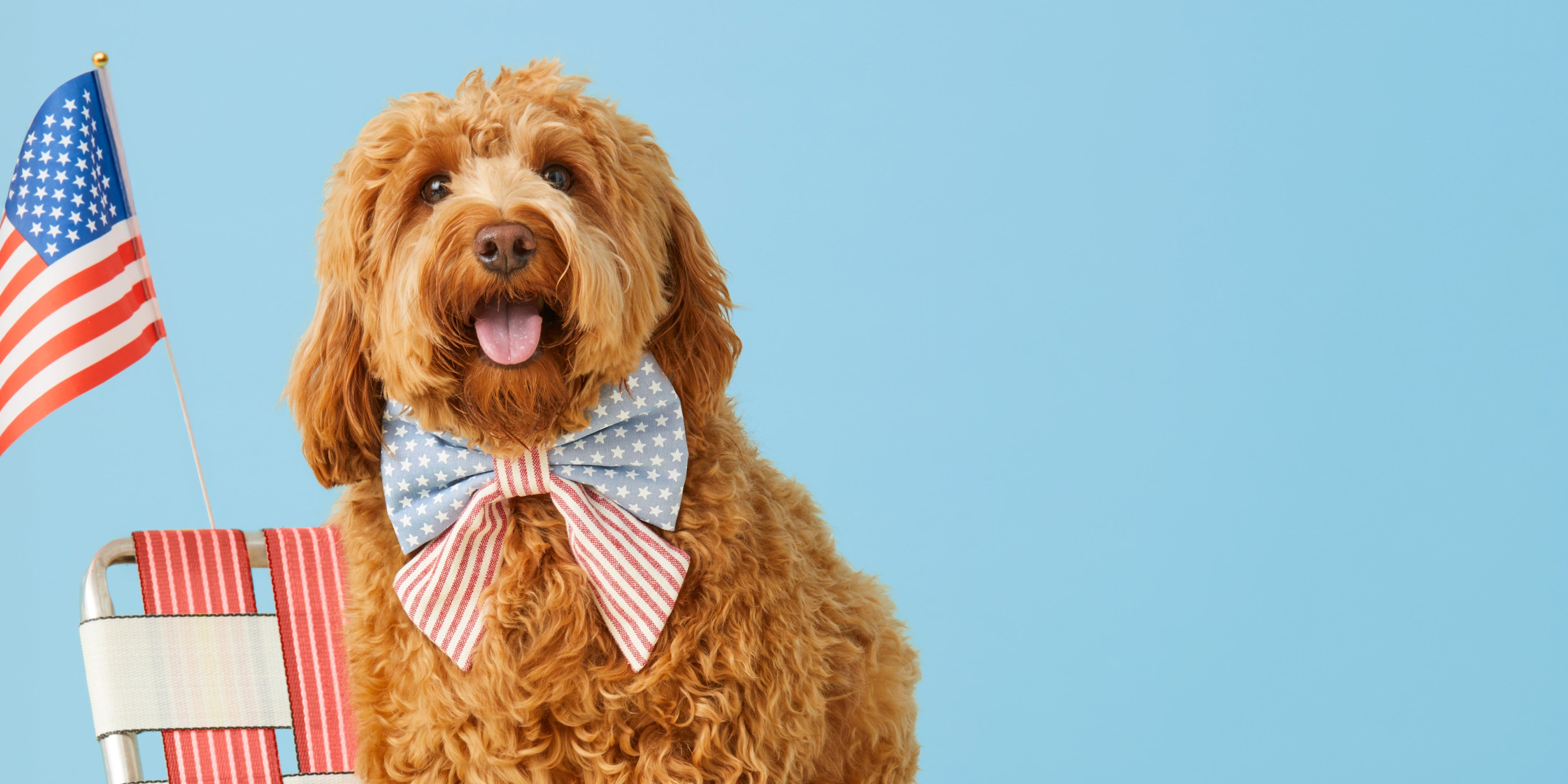 Red, White & Cute. Get festive with our most paw-triotic prints yet. The Foggy Dog