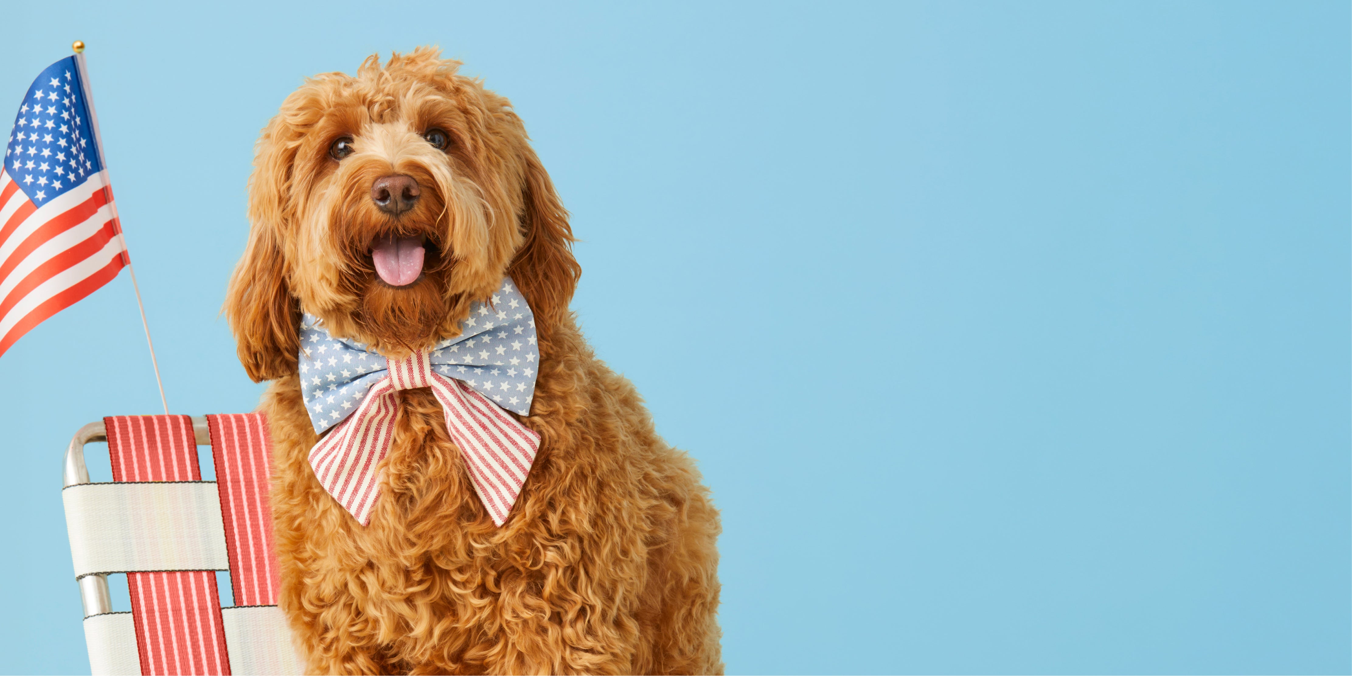 Red, White & Cute. Get festive with our most paw-triotic prints yet. The Foggy Dog