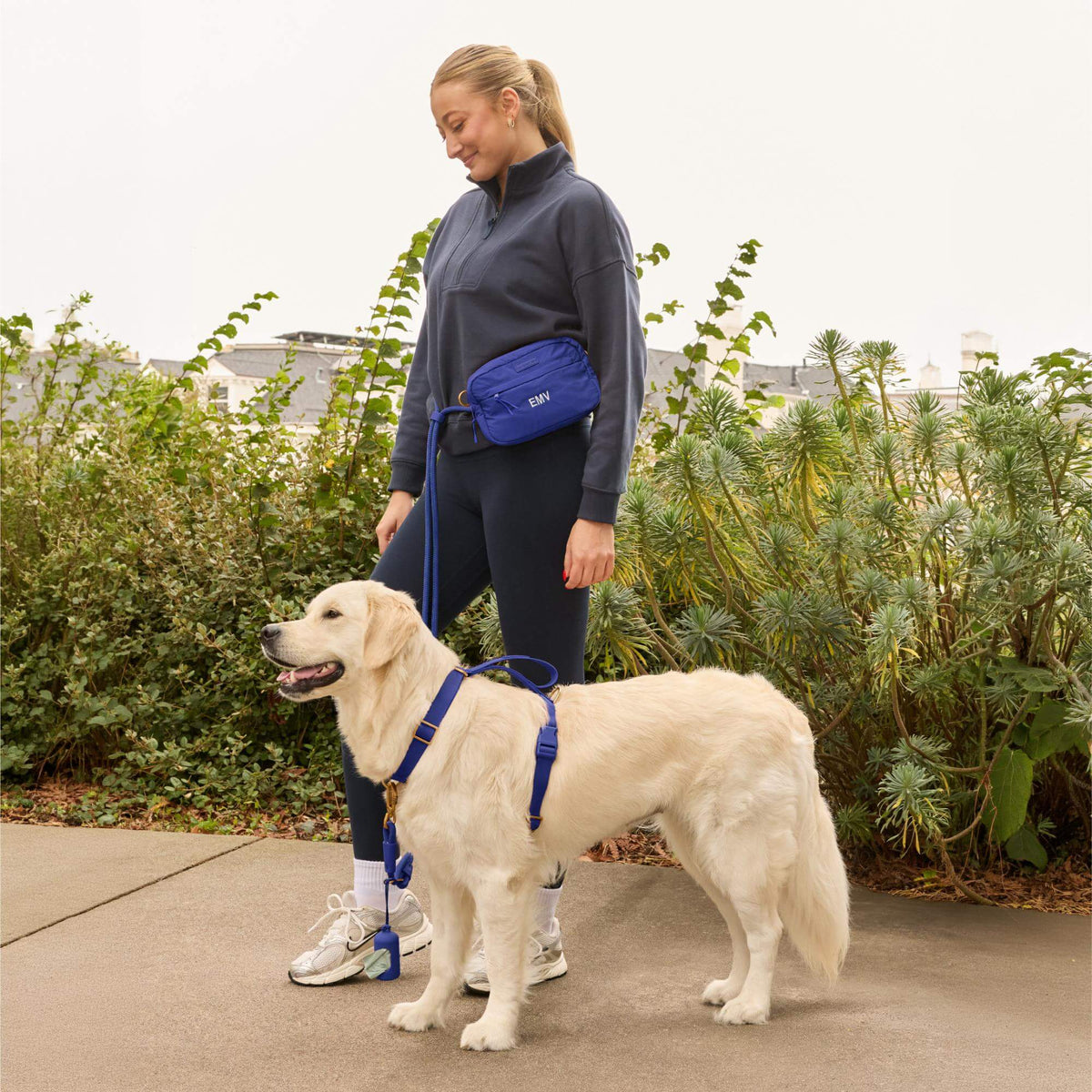 #Olive (65lbs) in a Large harness and Standard leash