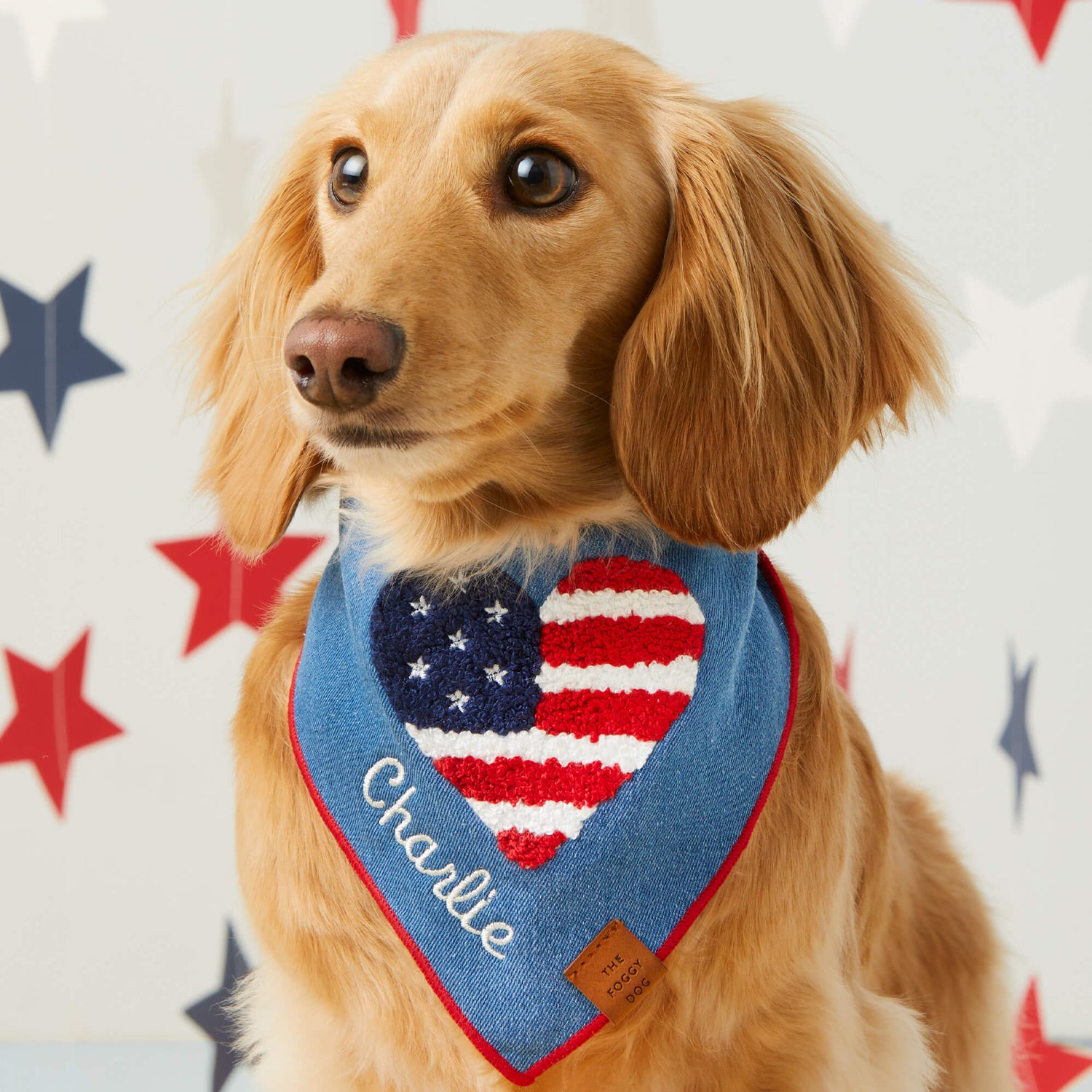 #Modeled by Charlie (13lbs) in Small