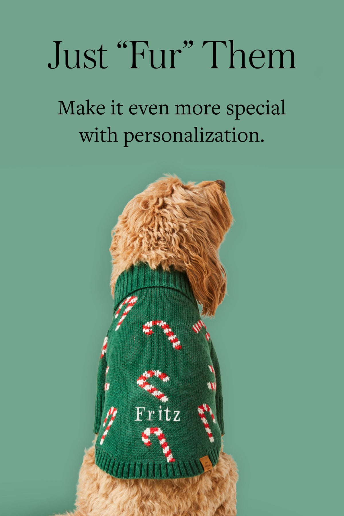 Personalize Dog Sweater at The Foggy Dog