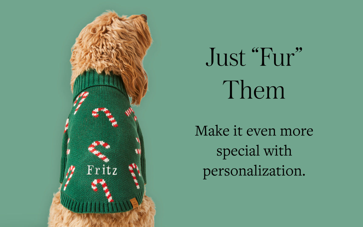 Personalize Dog Sweater at The Foggy Dog