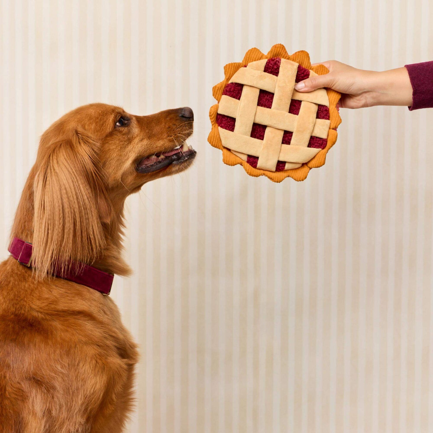 Berry Pie Interactive Snuffle Dog Toy from The Foggy Dog