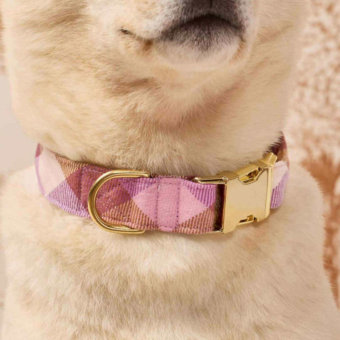 Bramble Flannel Dog Collar from The Foggy Dog