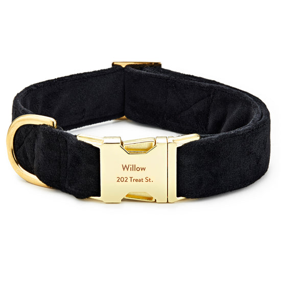Black Velvet Dog Bow Tie from The Foggy Dog Standard 