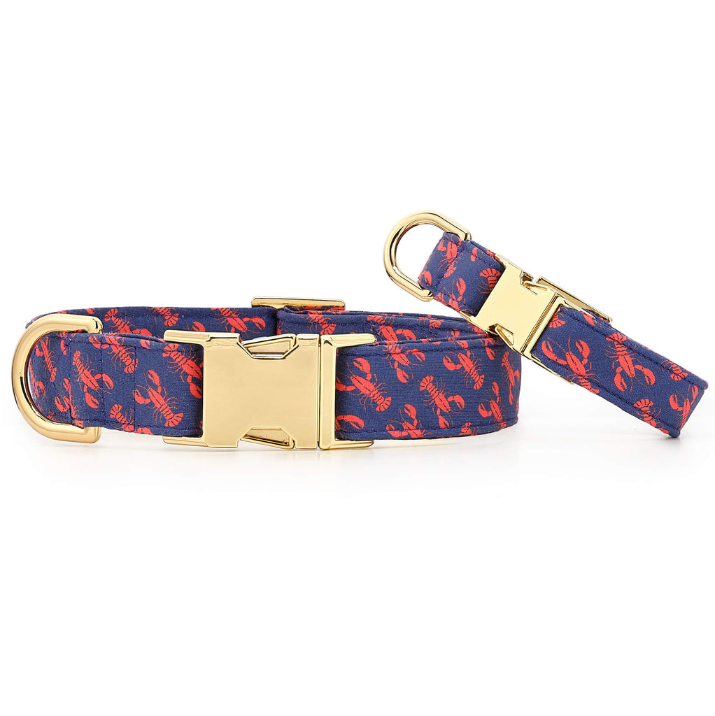 Catch of the Day Dog Collar – The Foggy Dog
