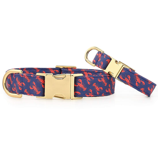 Catch of the Day Dog Collar from The Foggy Dog