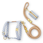 Sky Blue Gingham Harness Walk Set
