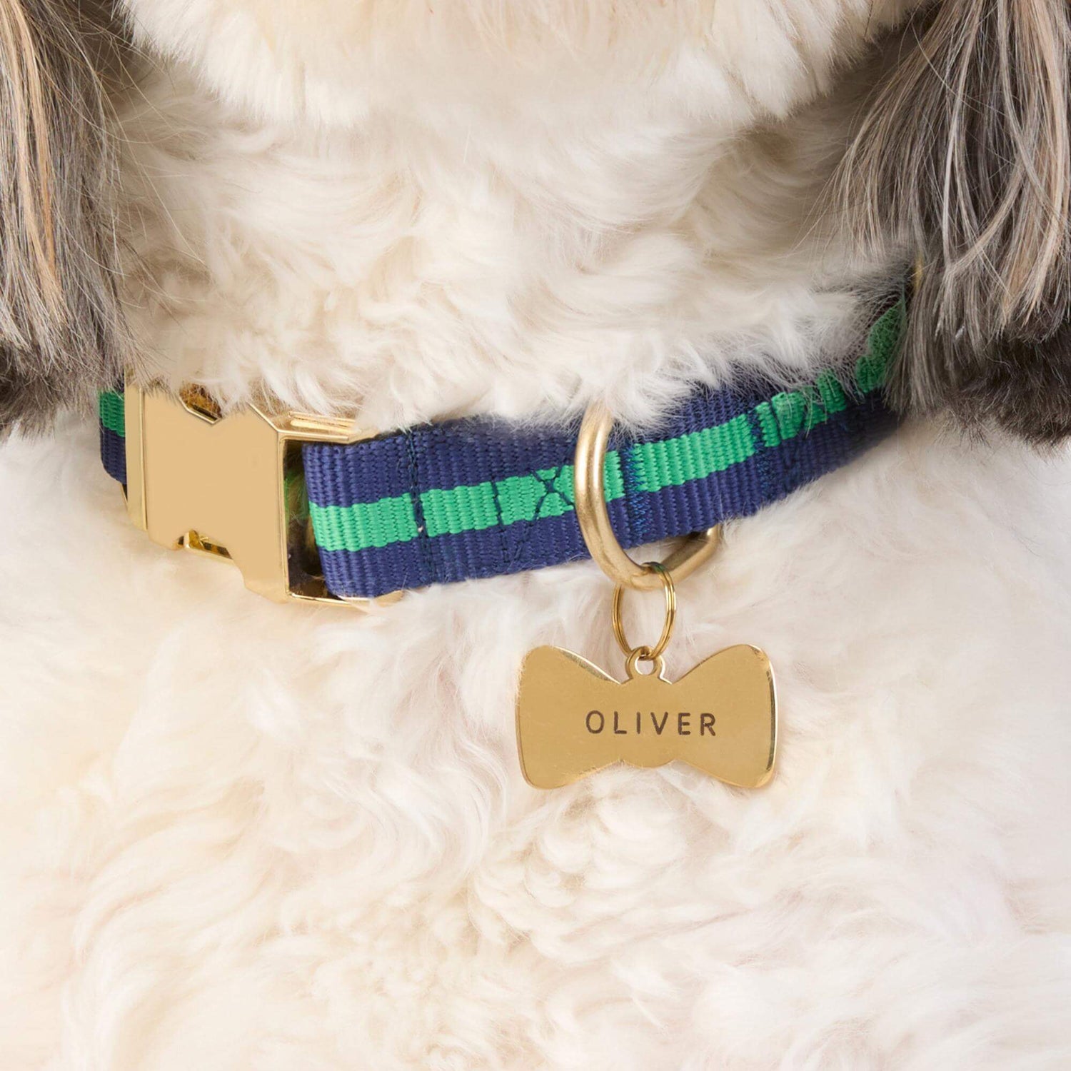 #Modeled by Reese (30lbs) in a Large pet ID tag