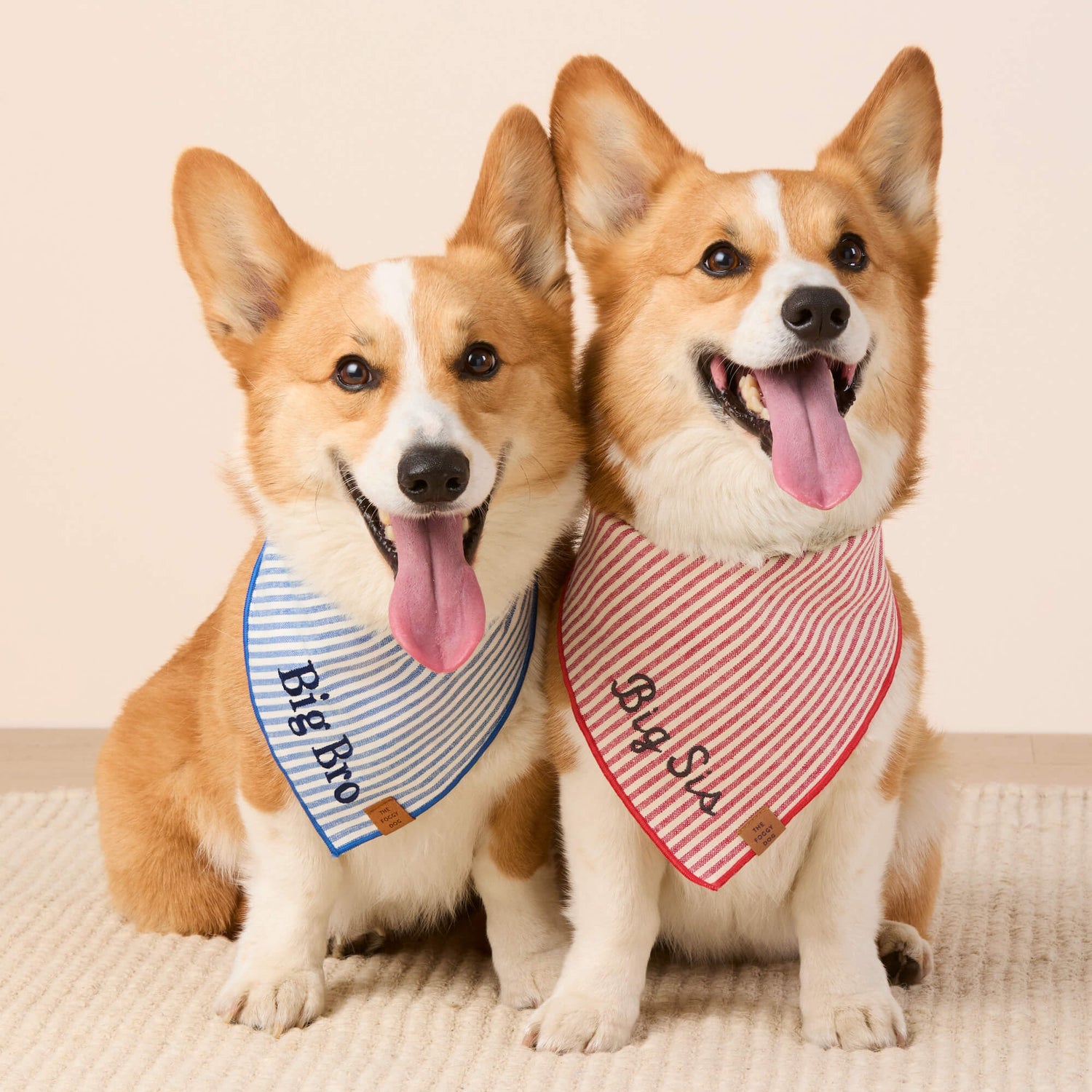 #Modeled by Captain and Tony (30lbs) both in Medium