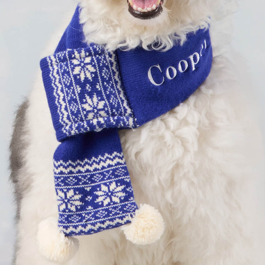 Snow Day Knit Scarf from The Foggy Dog