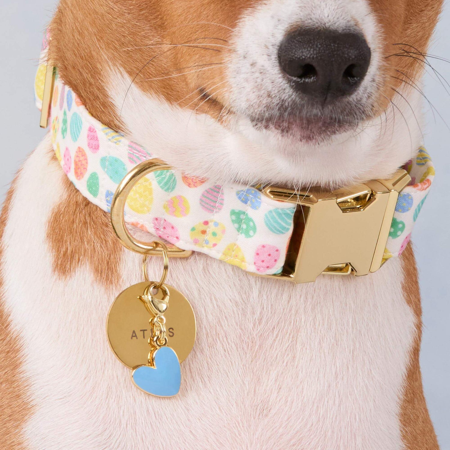 #Modeled by Ricky (27lbs) in Medium