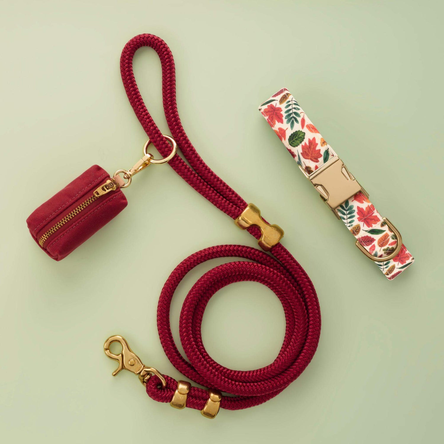 Falling Leaves Collar Walk Set from The Foggy Dog