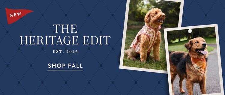 New Fall Apparel. New sweaters, jackets and fleeces just in time for cozy season. Shop Fall at The Foggy Dog