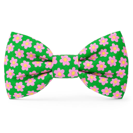 Flower Power Dog Bow Tie from The Foggy Dog