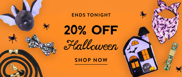 Halloween sale 20% off at The Foggy Dog