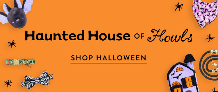 Haunted House of Howls. Shop Halloween at The Foggy Dog