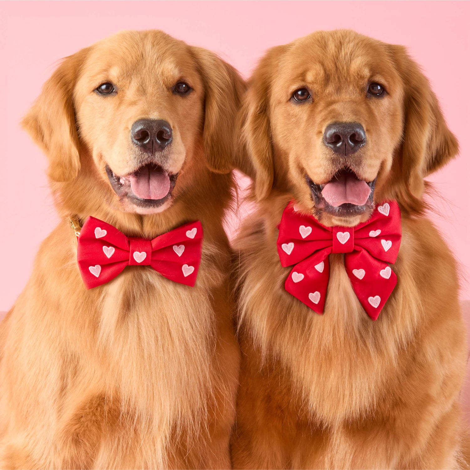 #Modeled by Blitz (55lbs) in a Large lady bow