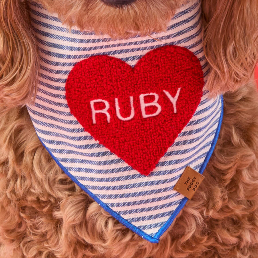 #Modeled by Ruby (27lbs) in Medium
