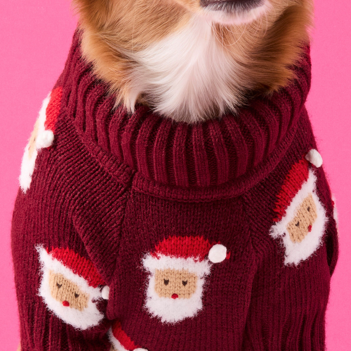 #Modeled by Noe (27lbs) in Medium