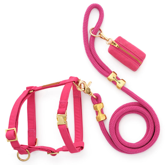 Hot Pink Harness Walk Set from The Foggy Dog