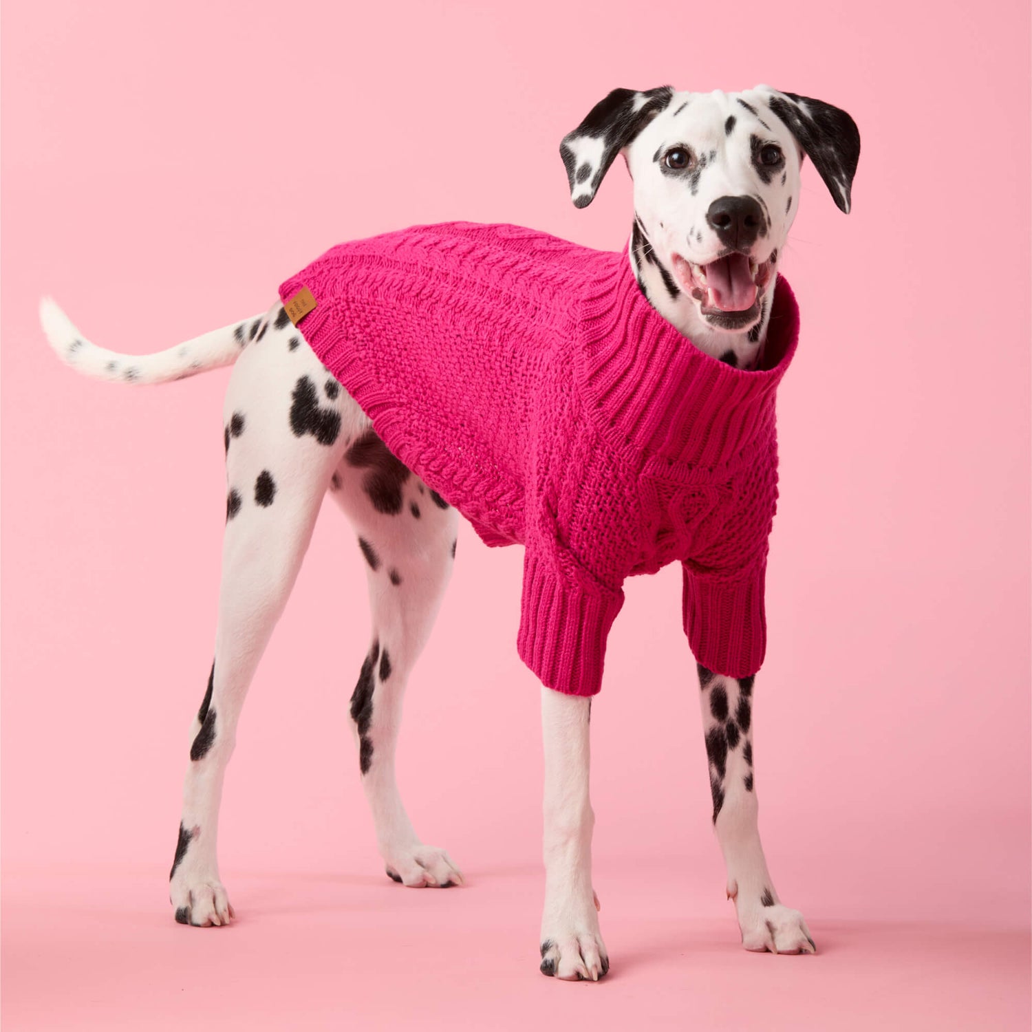 #Modeled by Lava (25lbs) in Medium
