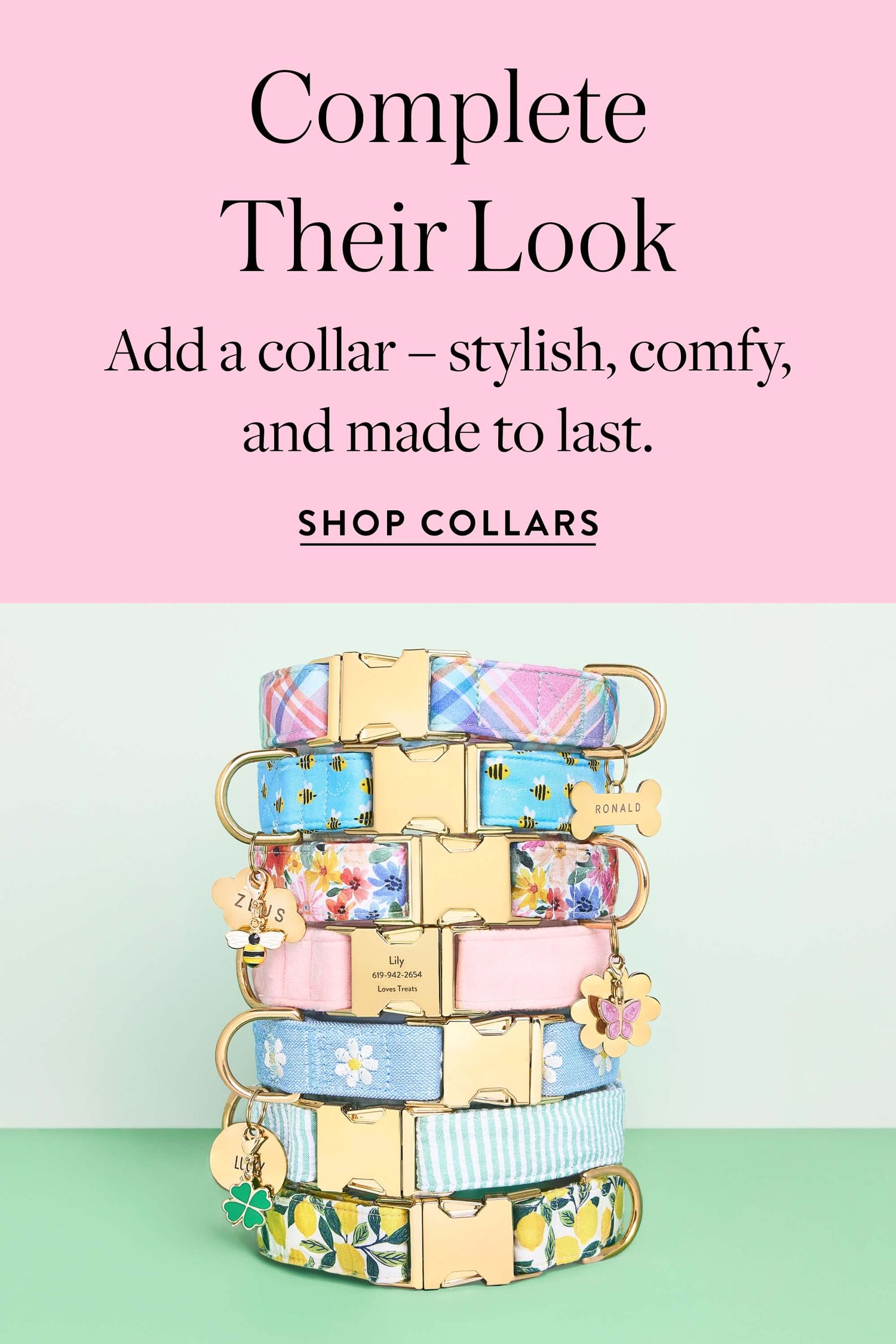 Collars and Charms from The Foggy Dog