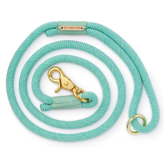 Spearmint Climbing Rope Dog Leash from The Foggy Dog