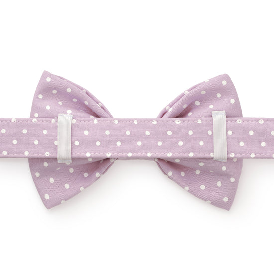 Lavender Dots Dog Bow Tie