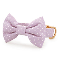 Lavender Dots Bow Tie Collar