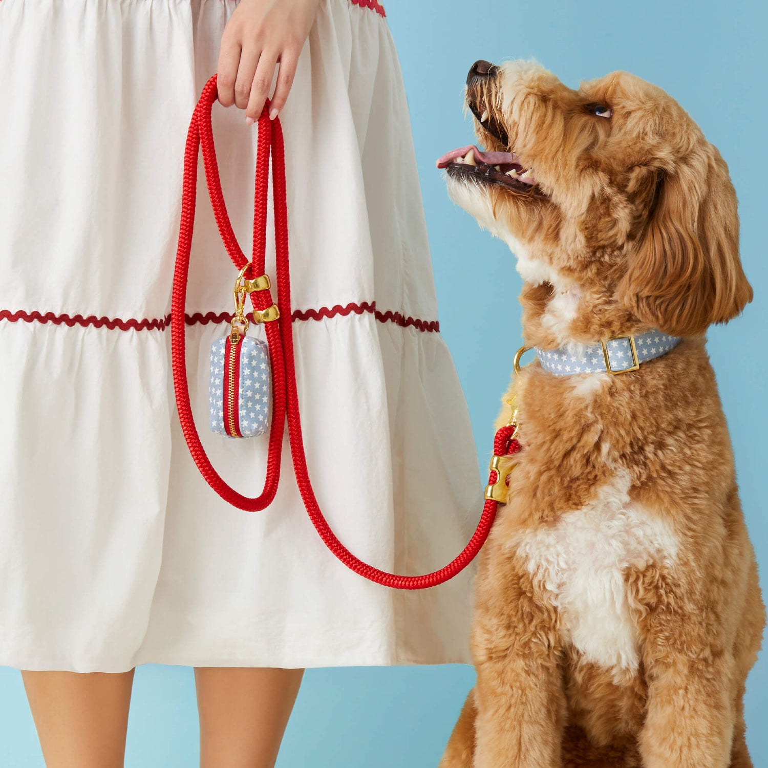 Ruby Marine Rope Leash from The Foggy Dog