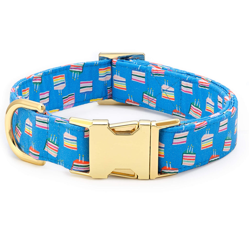 Make A Wish Dog Collar The Foggy Dog