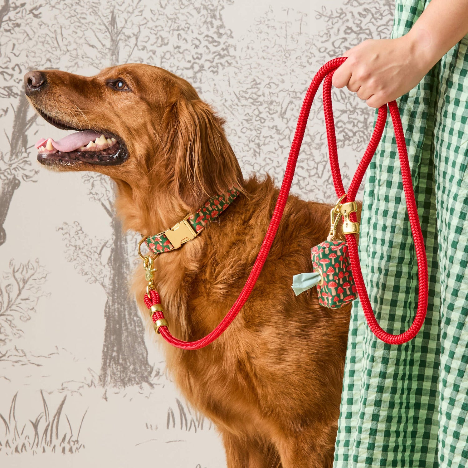 #Modeled by Goose (80lbs) in a Large collar and Standard leash