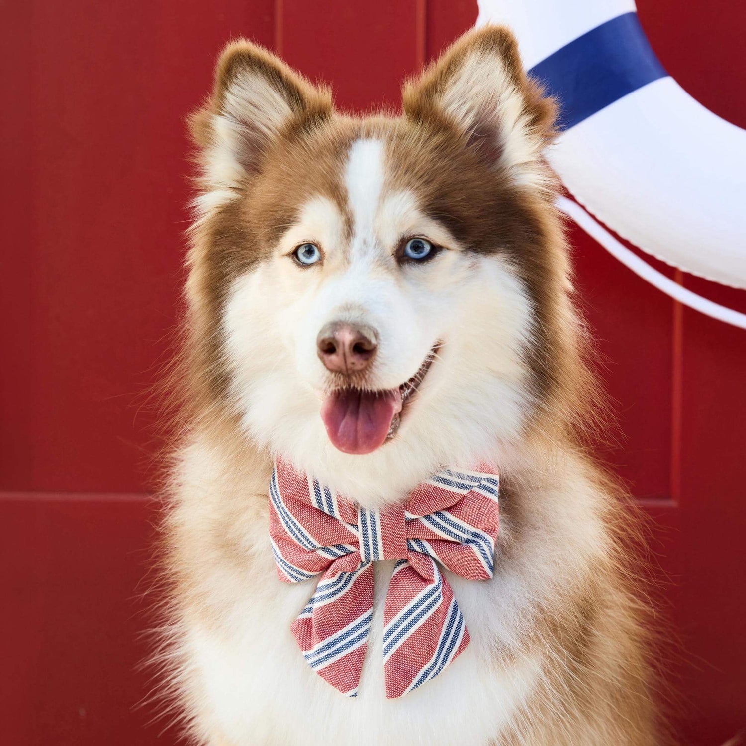 #Modeled by Rouka (37lbs) in a Large lady bow