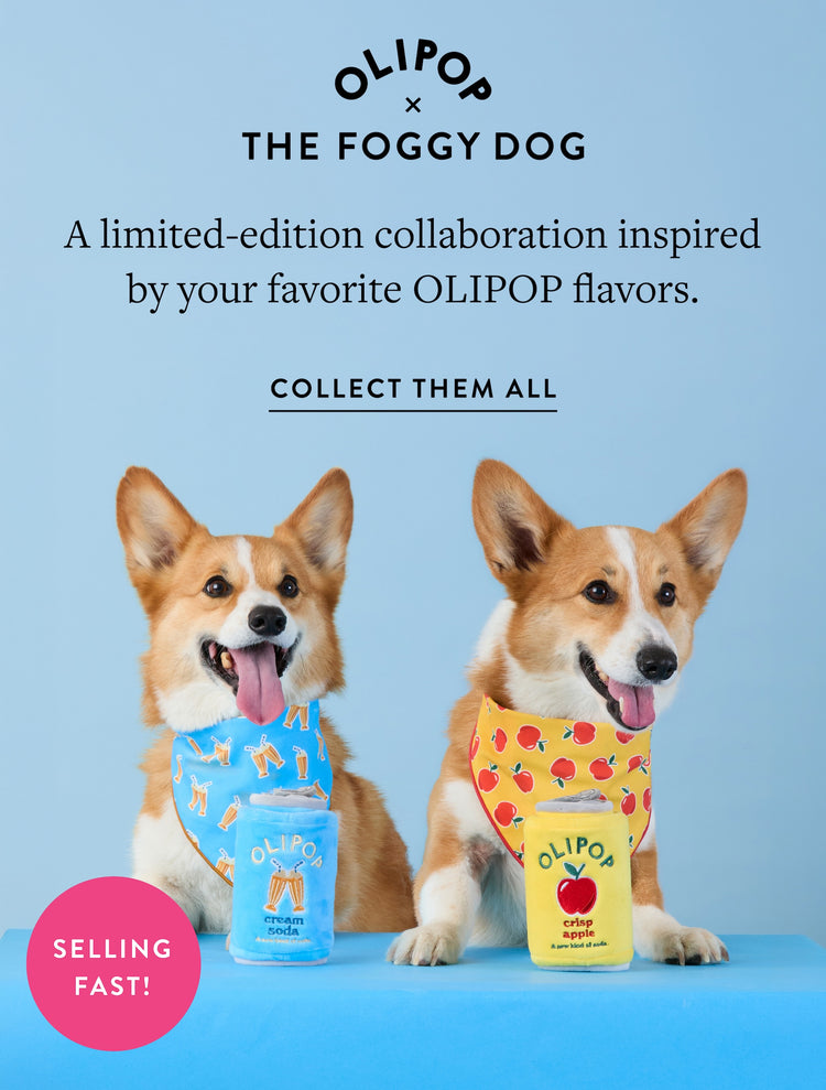 A limited-edition collaboration inspired by your favorite OLIPOP flavors. Collect them all at The Foggy Dog