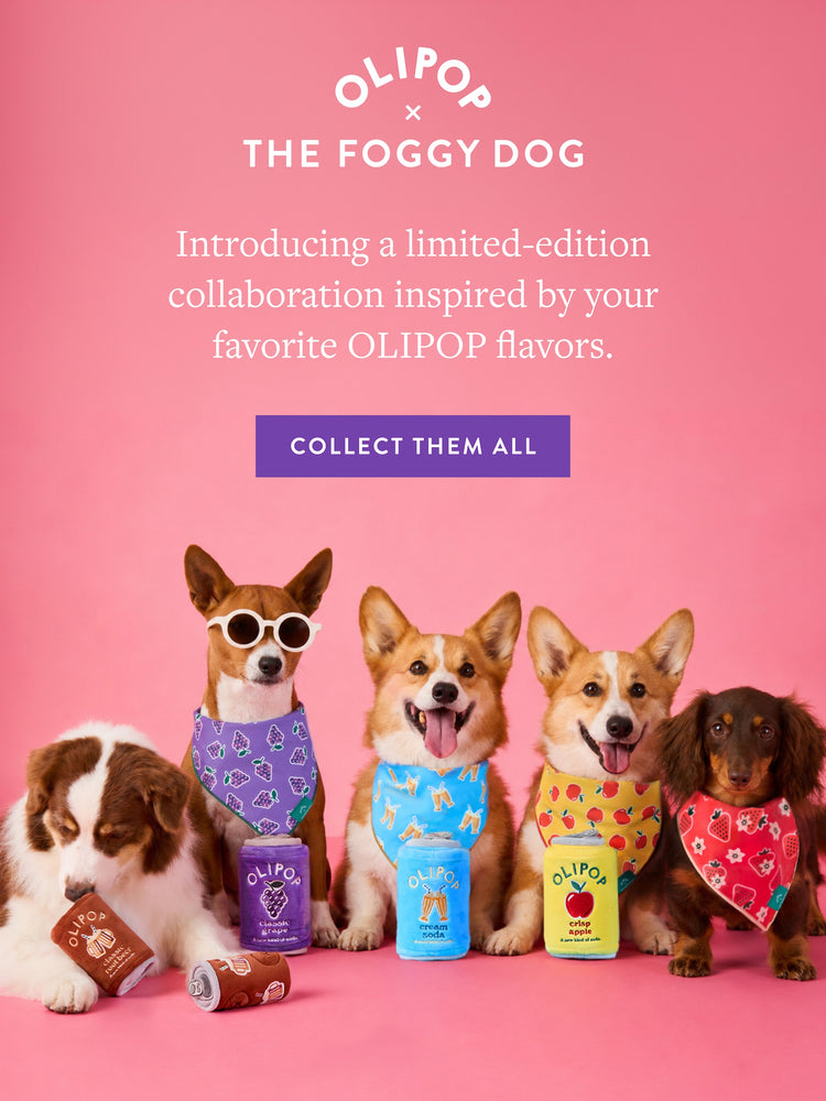 Olipop x The Foggy Dog. Introducing a limited-edition collaboration inspired by your favorite OLIPOP flavors. COLLECT THEM ALL