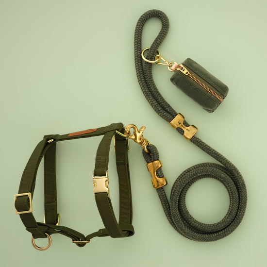 Olive Harness Walk Set from The Foggy Dog