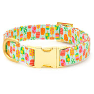 Pup-sicle Dog Collar from The Foggy Dog