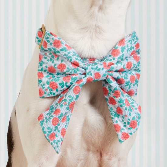 #Modeled by Haku (17lbs) in a Large lady bow