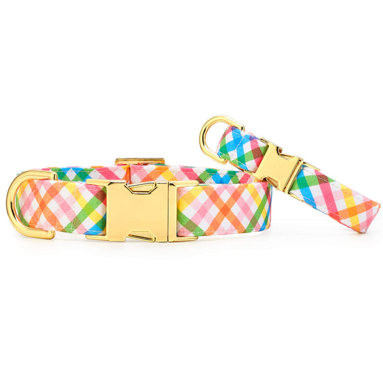 Rainbow Gingham Dog Collar