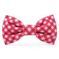 Raspberry Gingham Dog Bow Tie from The Foggy Dog
