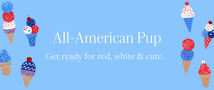 All-American Pup Red White and Blue at The Foggy Dog