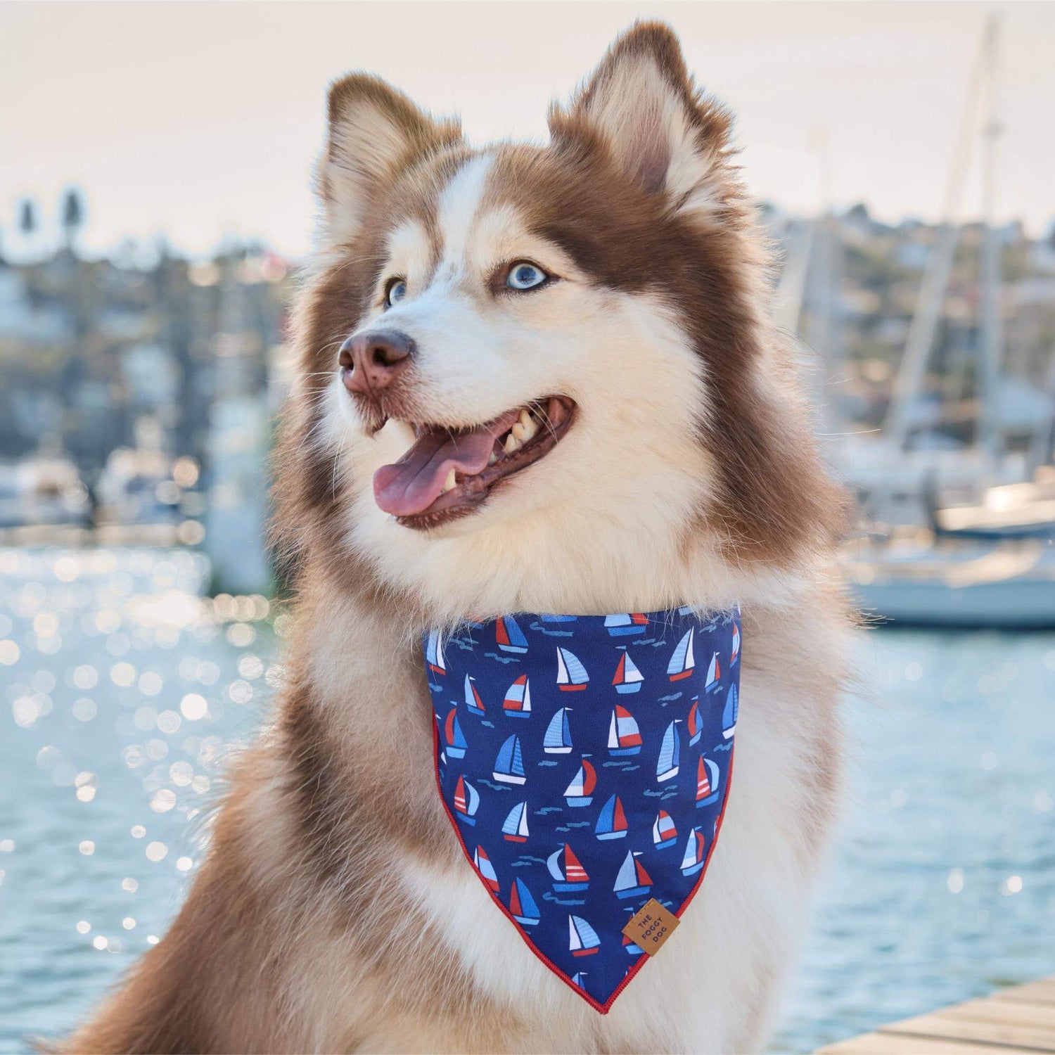 #Modeled by Rouka (37lbs) in Medium