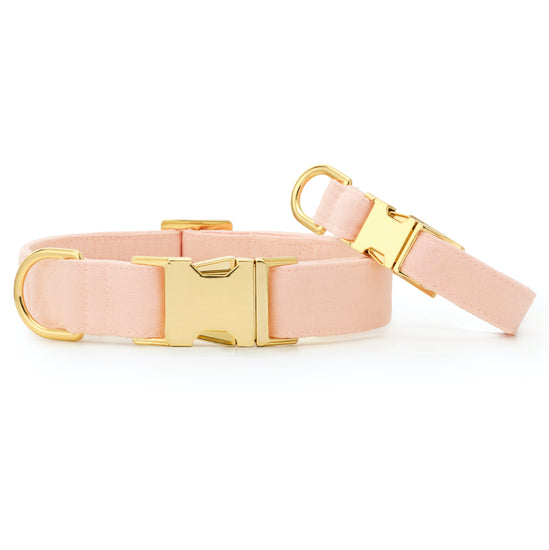 Rose Bud Dog Collar from The Foggy Dog