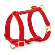 Ruby Dog Harness from The Foggy Dog