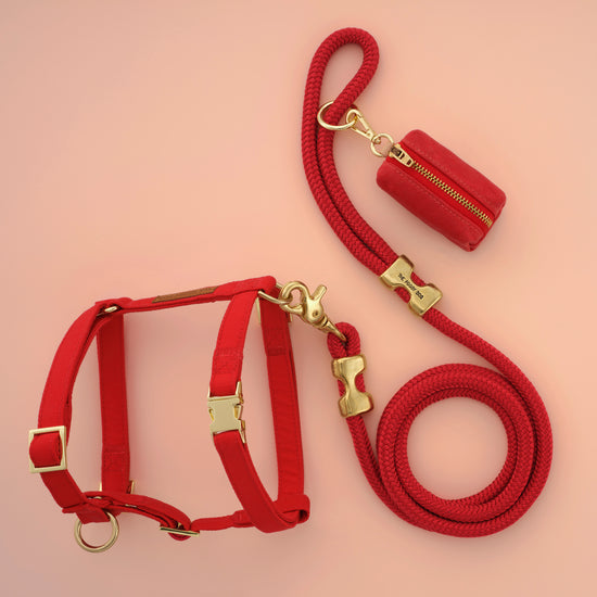 Ruby Harness Walk Set from The Foggy Dog